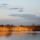 Abendstille am See