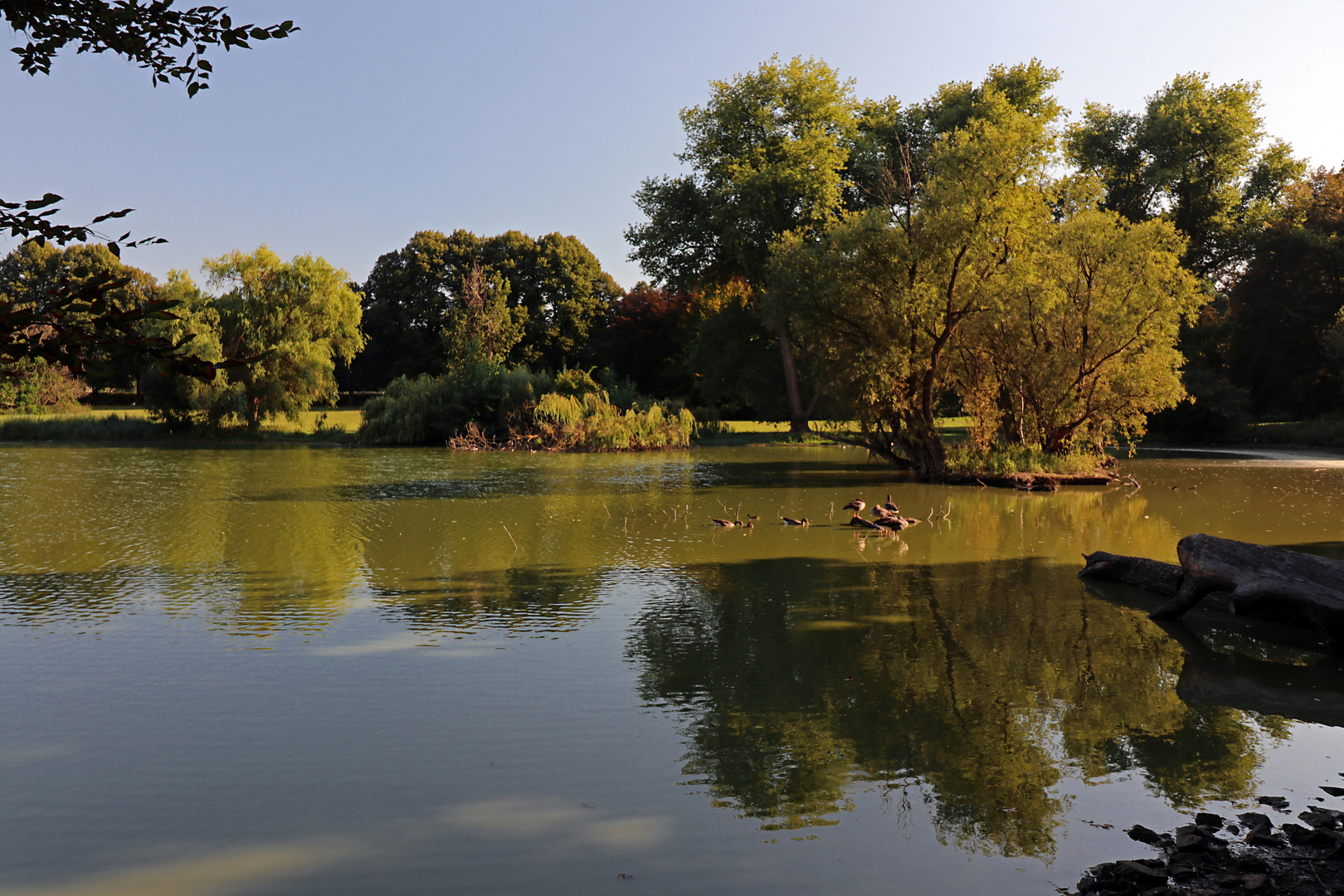 Abendstille am Südteich