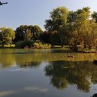 Abendstille am Südteich