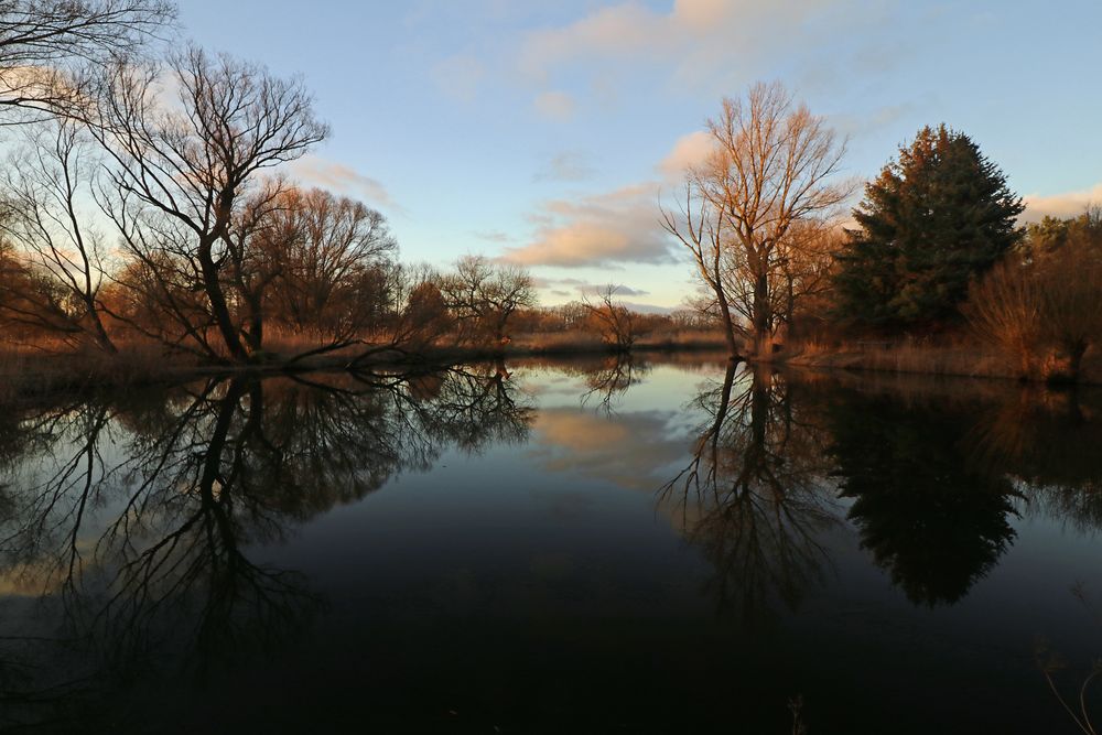 Abendstille am Teich Foto & Bild landschaften, wasser, februar Bilder