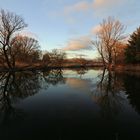 Abendstille am Teich