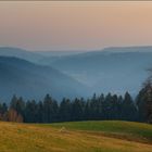 Abendstille auf den Schwarzwaldhöhen