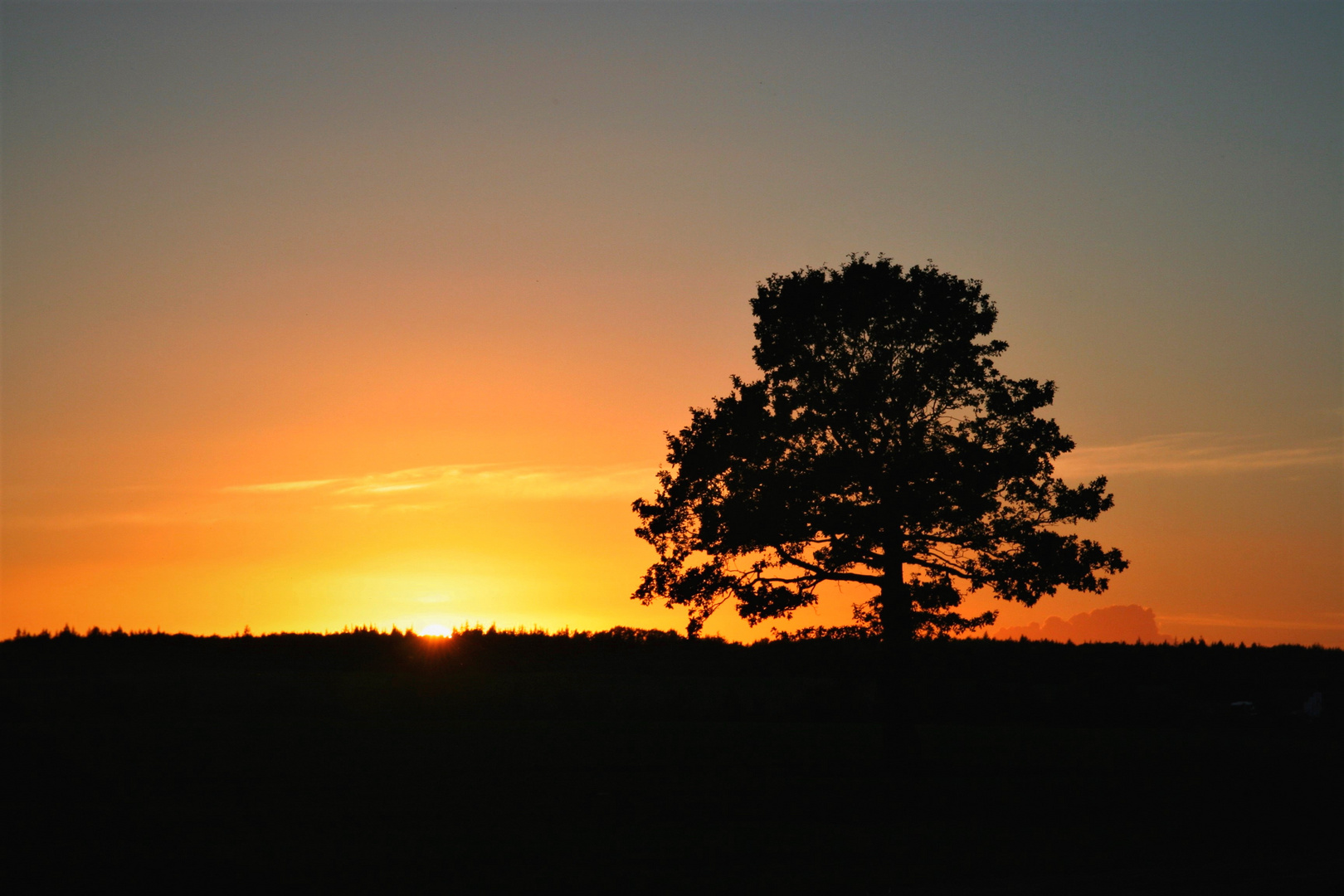 Abendstille