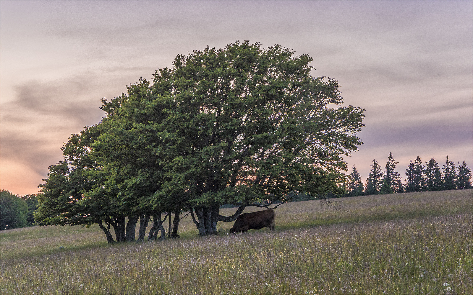 abendstille