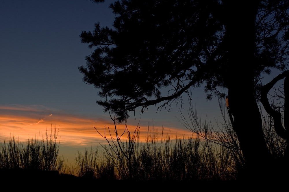 Abendstille