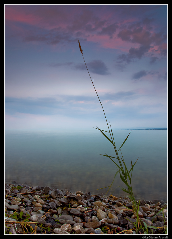 Abendstille