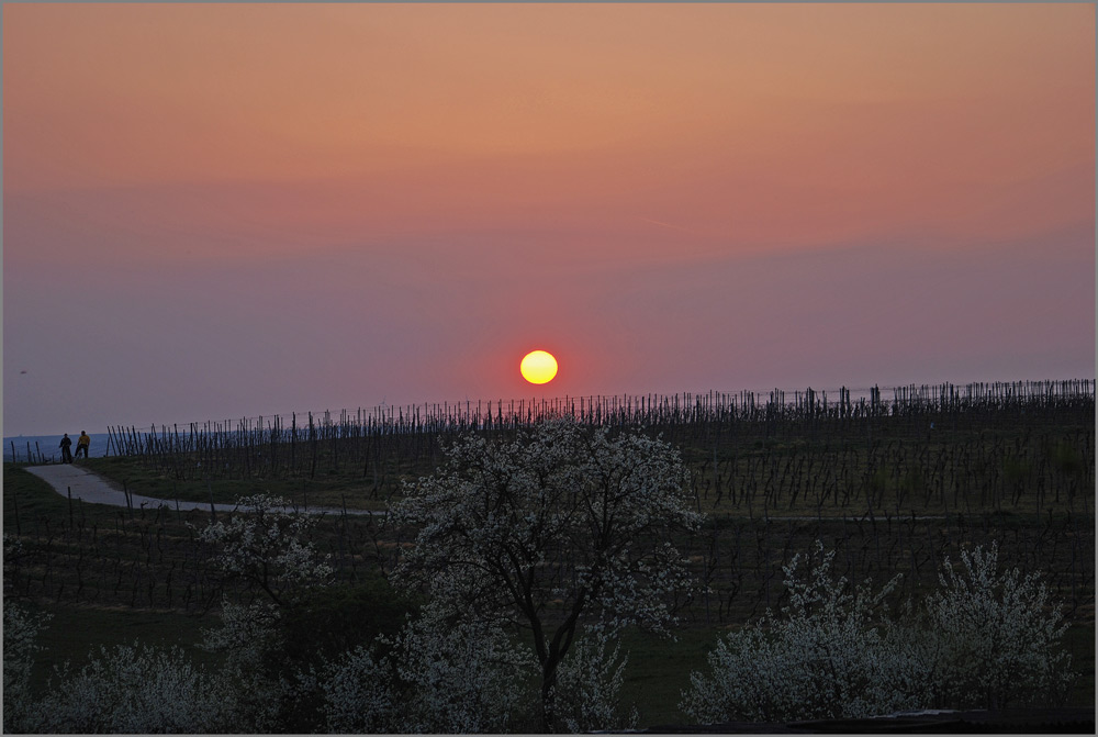 Abendstille