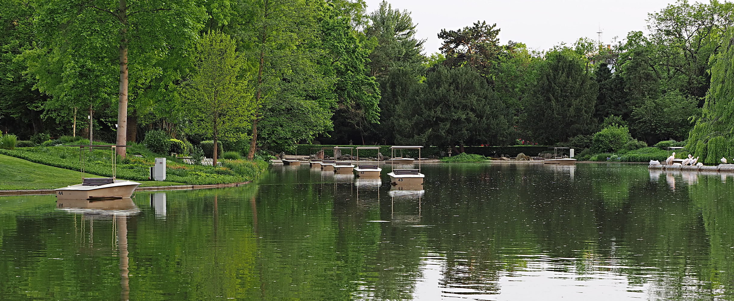 Abendstille im /am Stadtgarten See Karlsruhe...