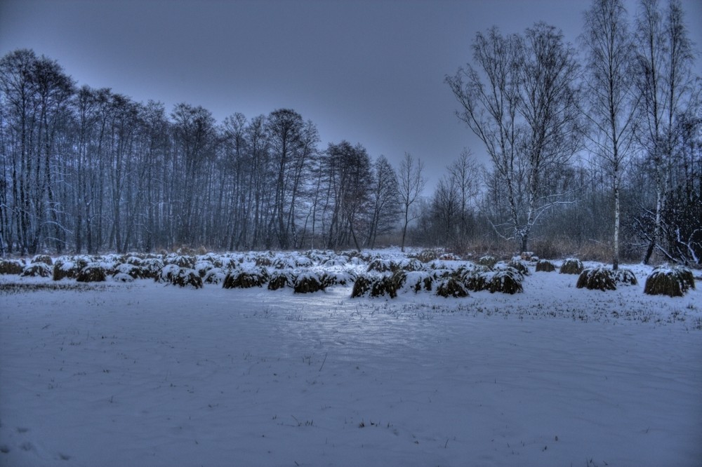 abendstille im februar