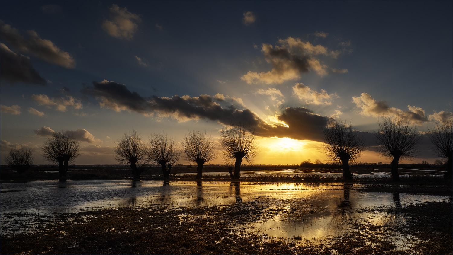 Abendstille im Moor