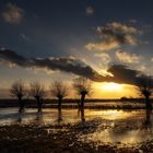 Abendstille im Moor