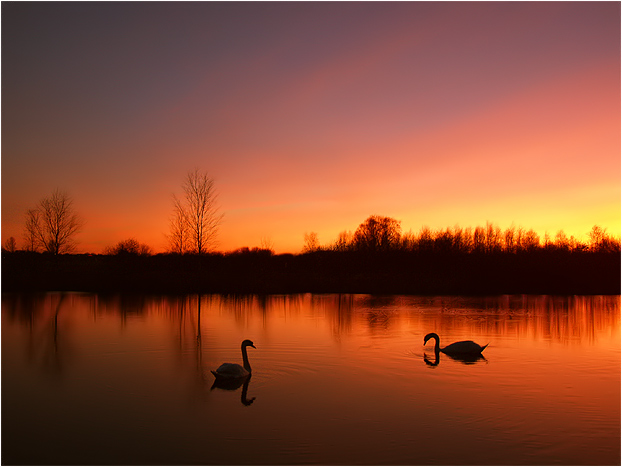 Abendstille im Moor........oder