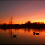 Abendstille im Moor........oder