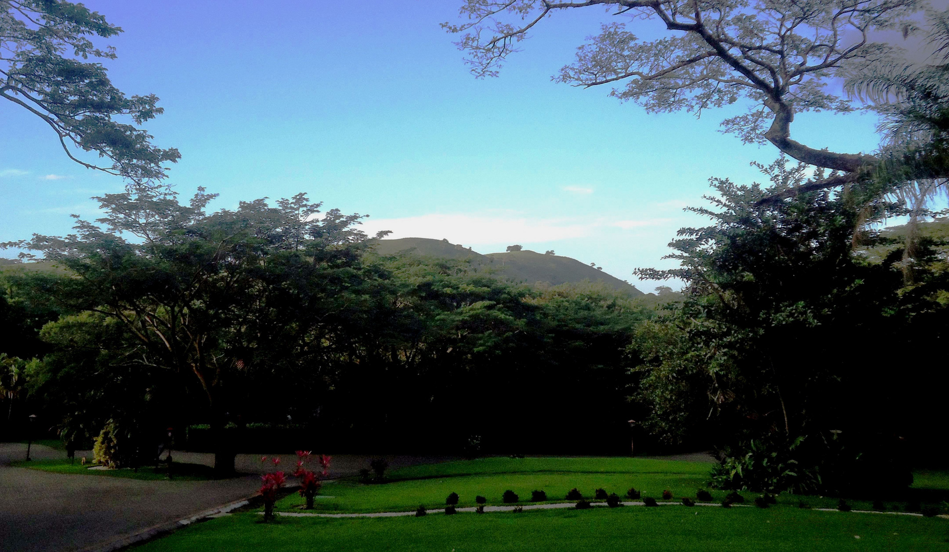 Abendstille im Park