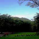 Abendstille im Park