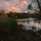 Abendstille im Schulgarten