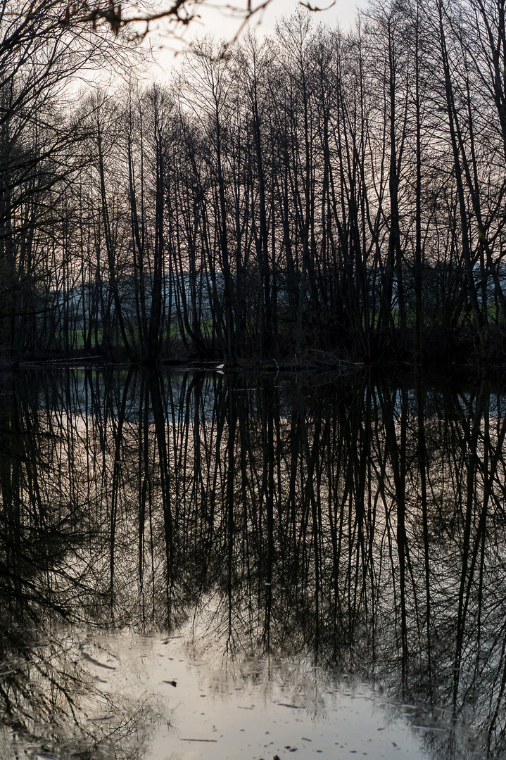 Abendstille im Spiegel