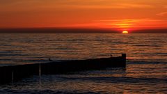 Abendstille in Ahrenshoop