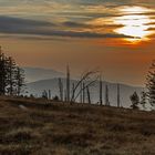 Abendstille in ca. 1200m Höhe auf......