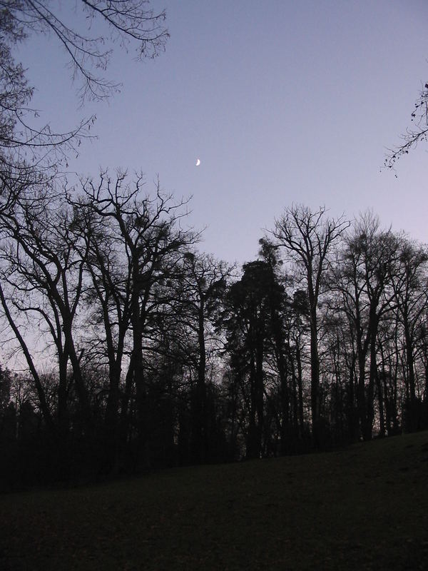 Abendstille überall 2