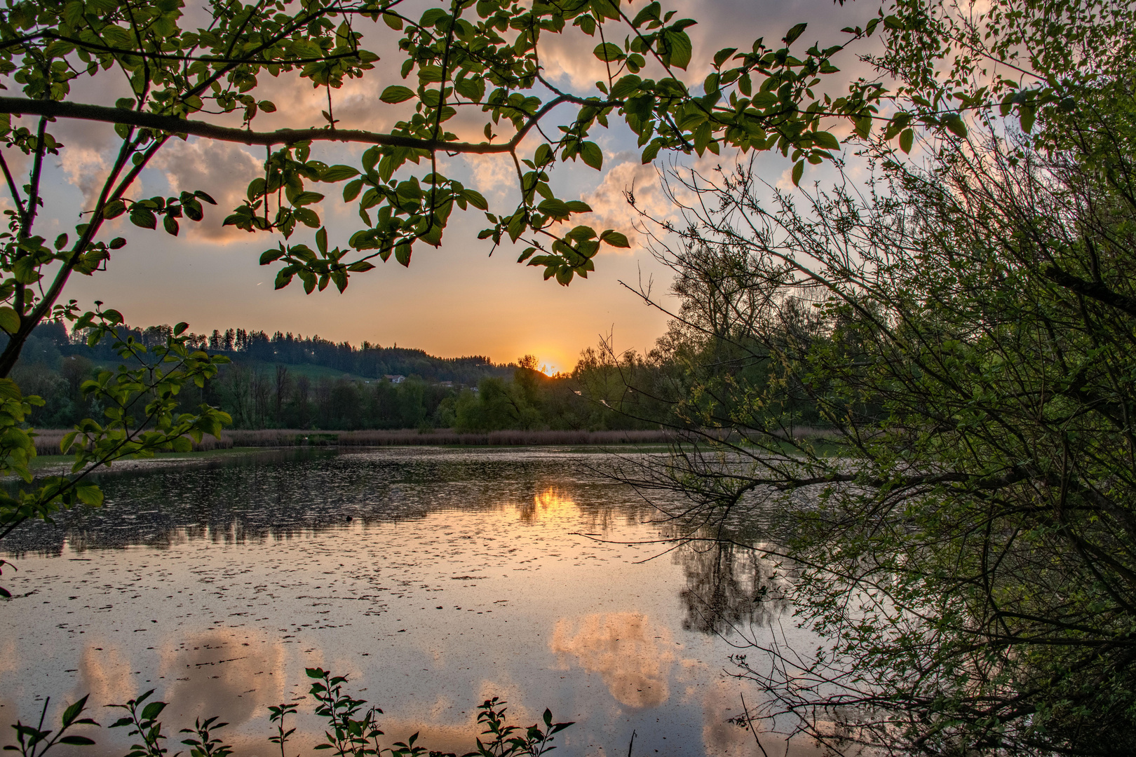 Abendstille überall...