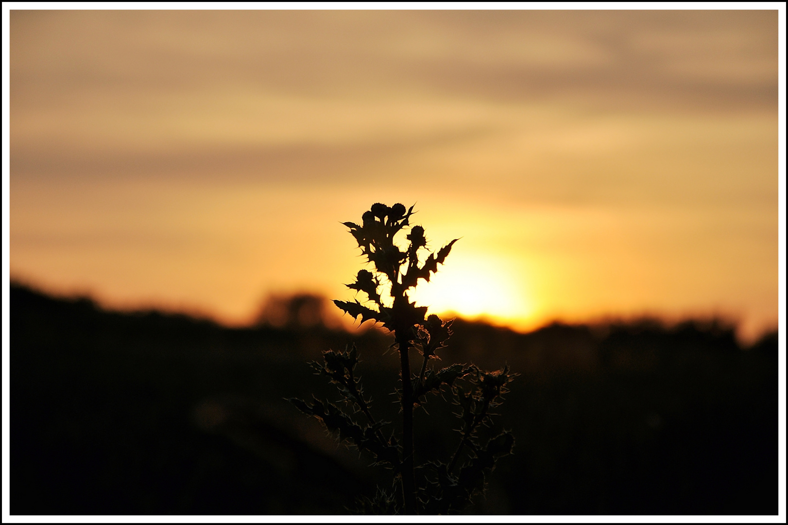 Abendstimmun