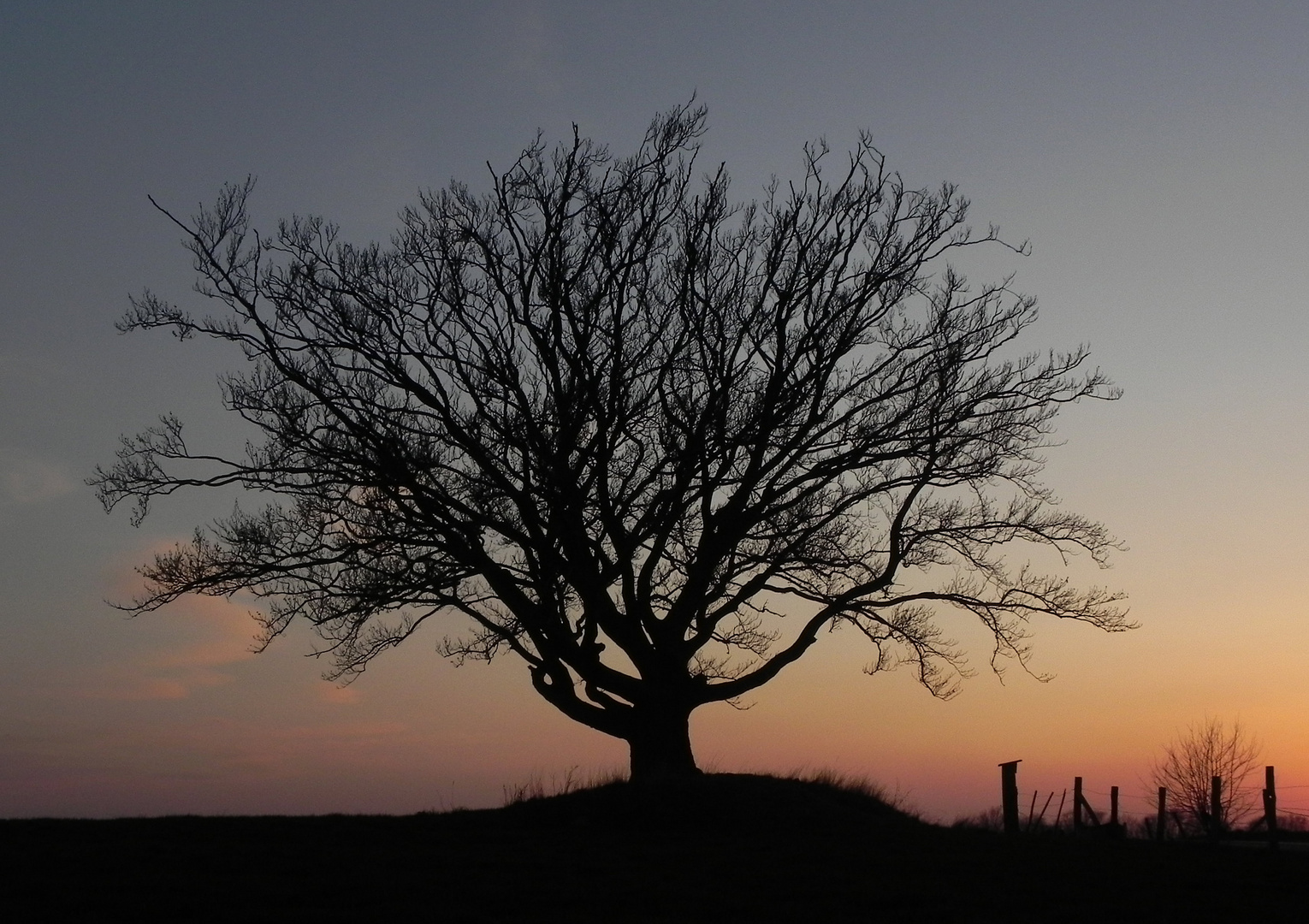 Abendstimmung