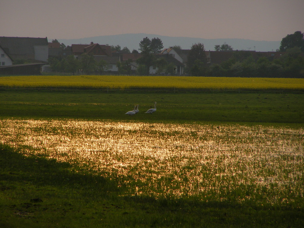 Abendstimmung