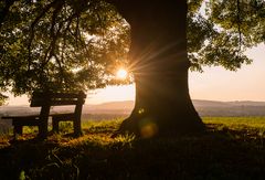 Abendstimmung