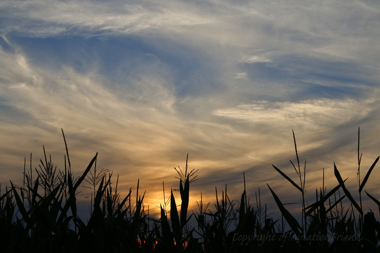 Abendstimmung