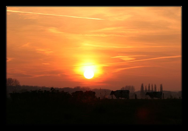 Abendstimmung