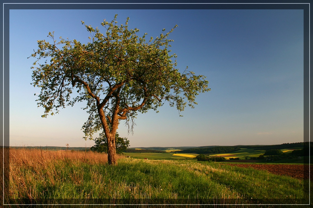 Abendstimmung