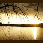 Natur
