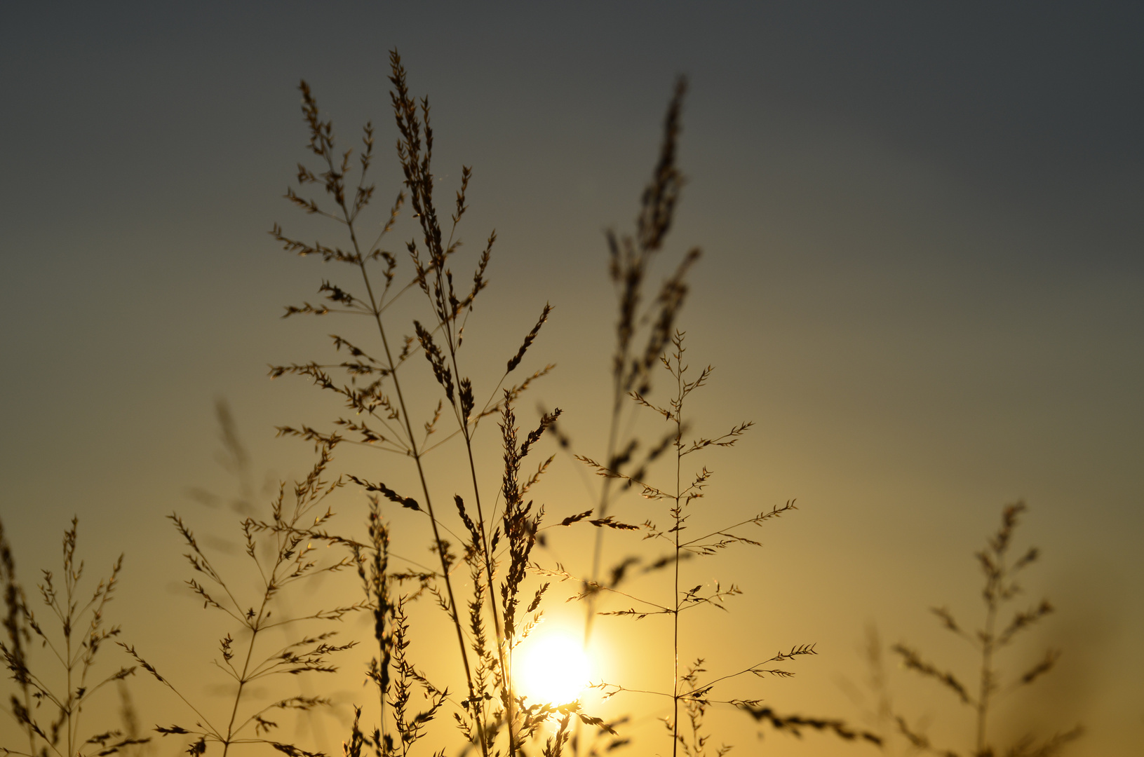 Abendstimmung