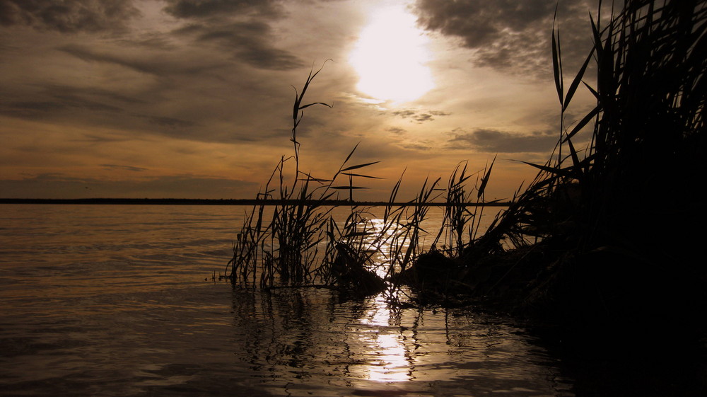 Abendstimmung