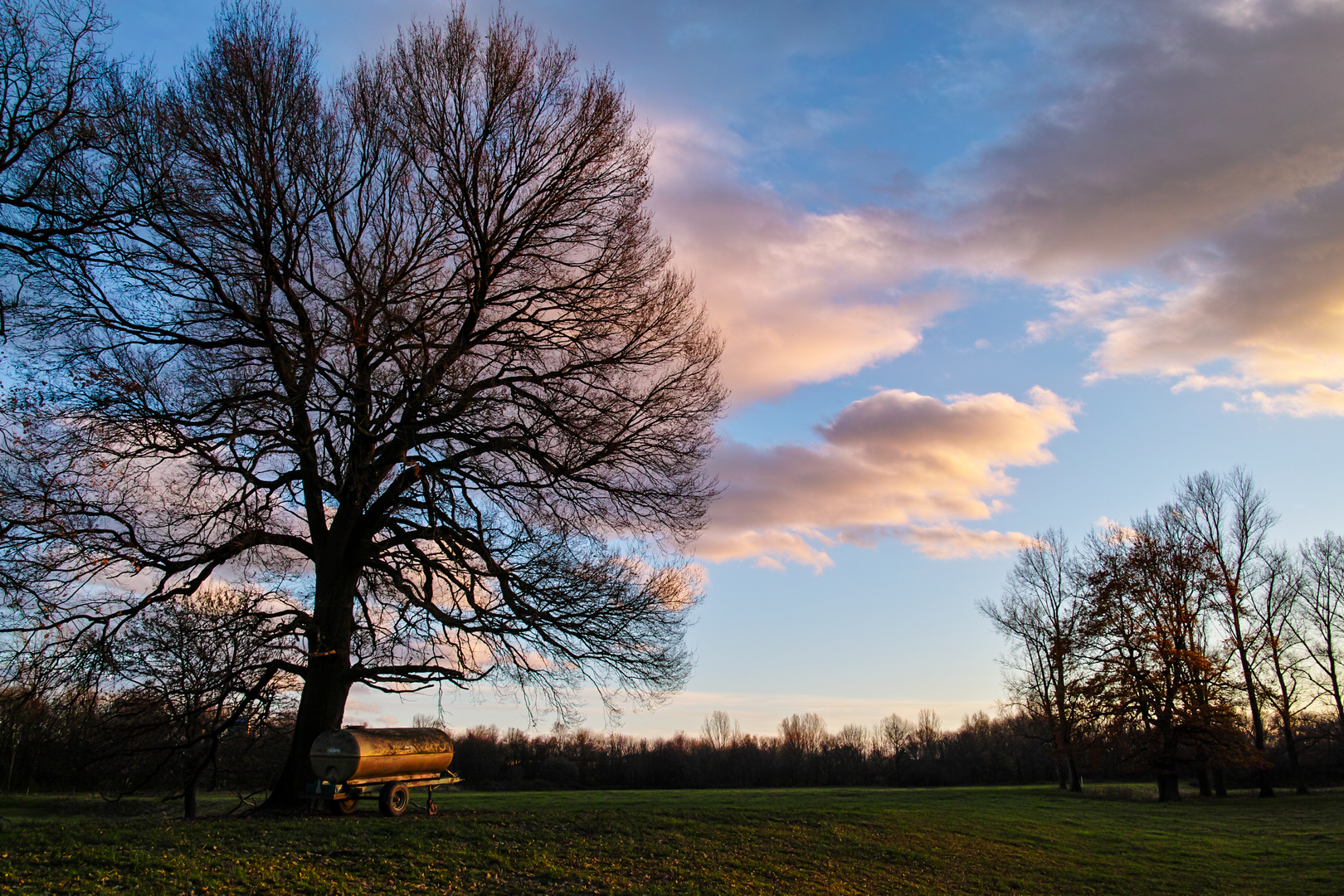 Abendstimmung