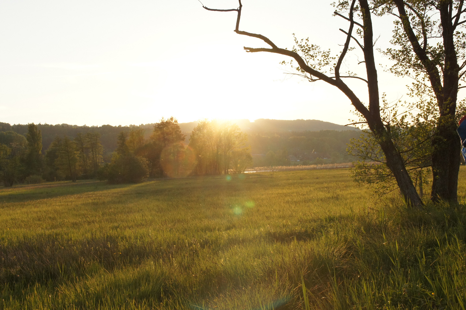 Abendstimmung