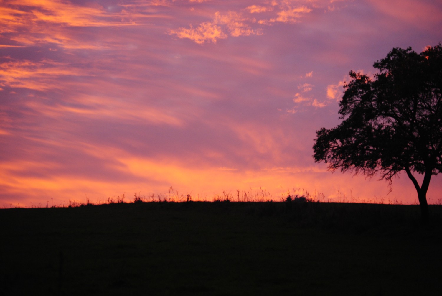 Abendstimmung