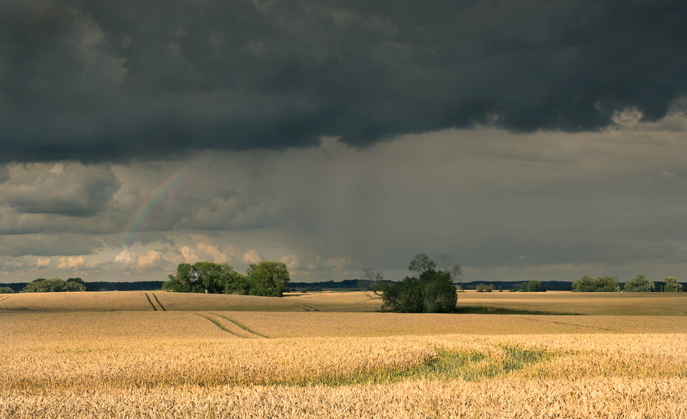 Abendstimmung