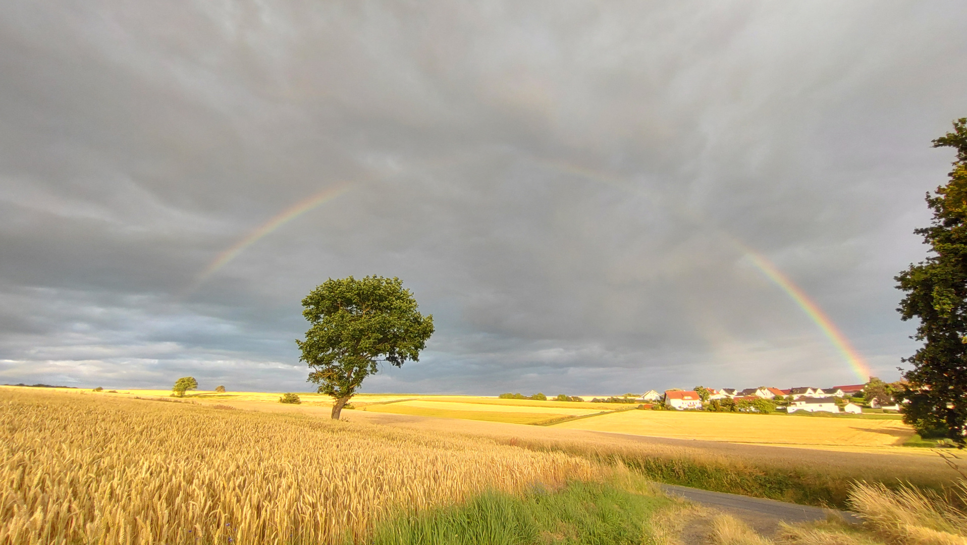 Abendstimmung