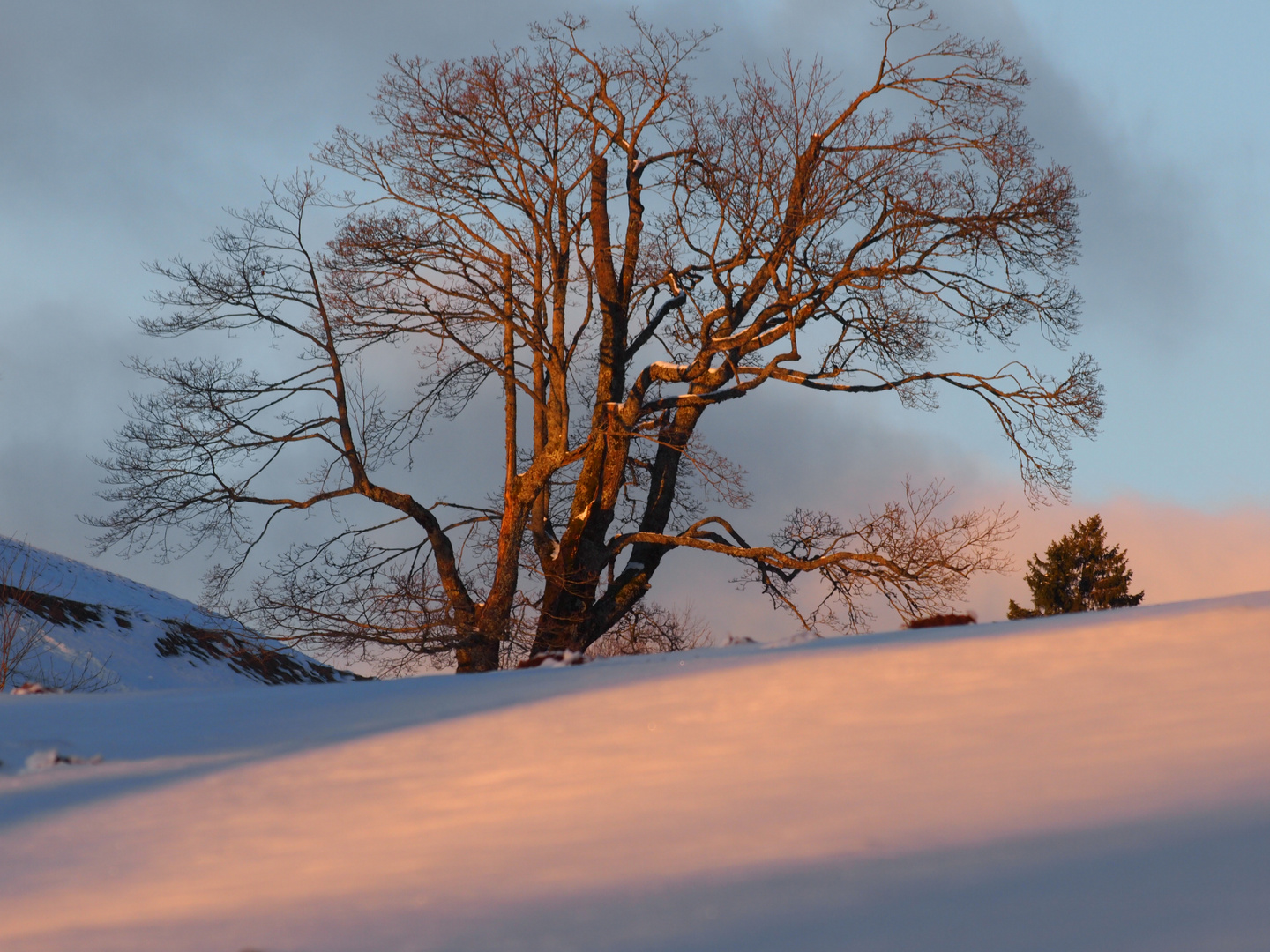 Abendstimmung 2