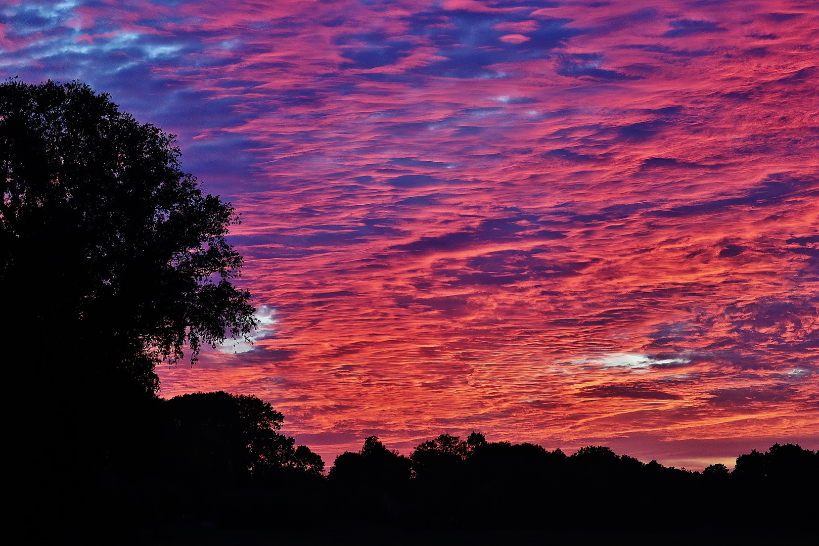 Abendstimmung/ 2