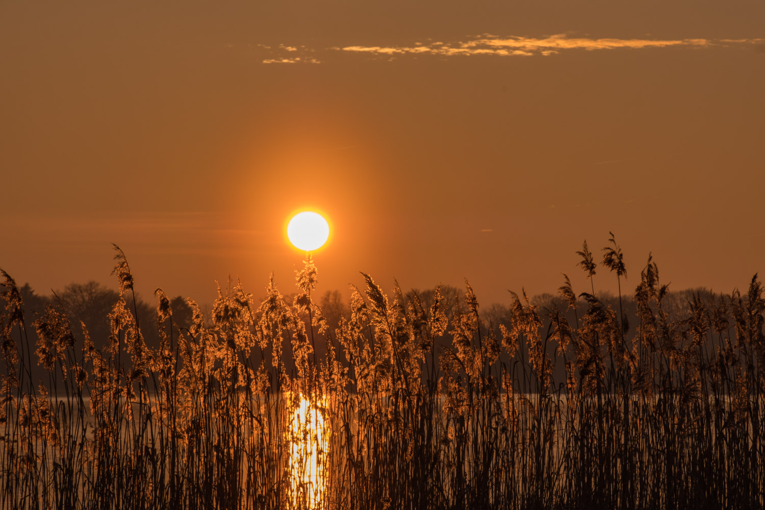 Abendstimmung 2