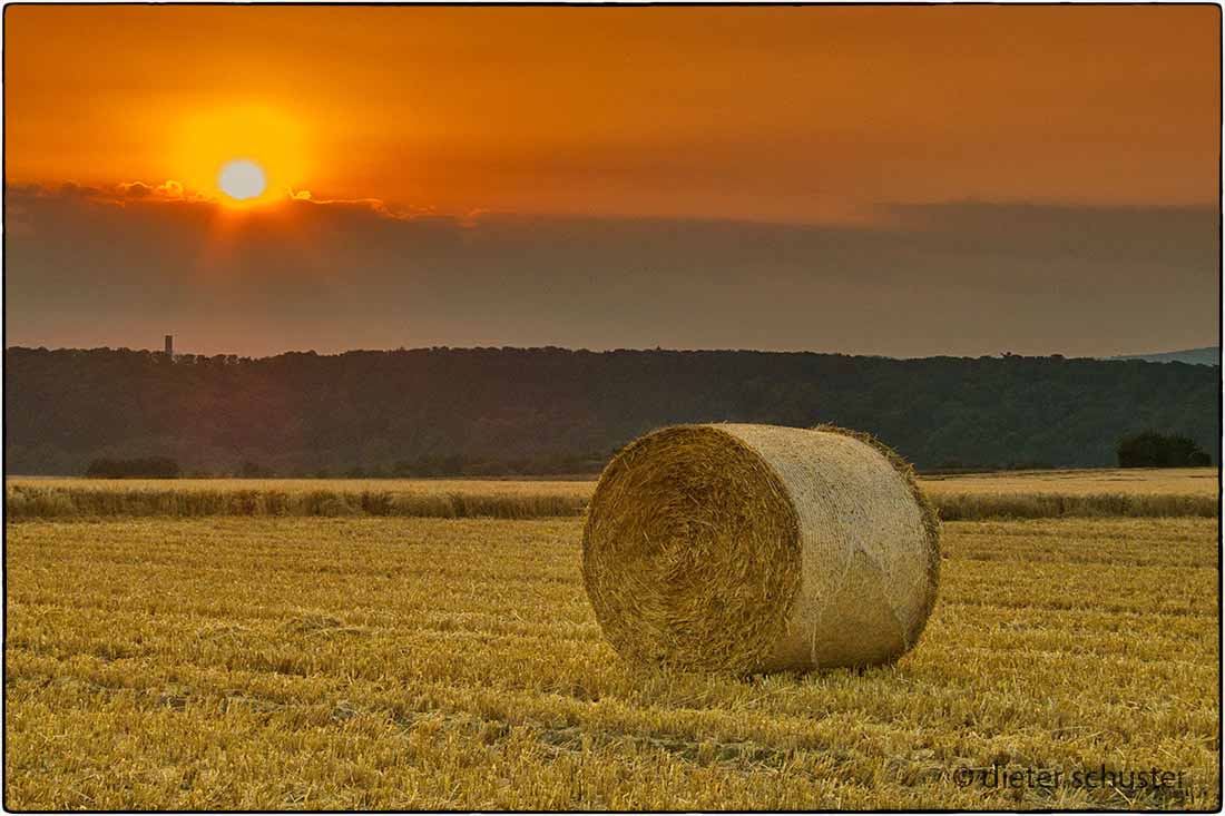 Abendstimmung-20