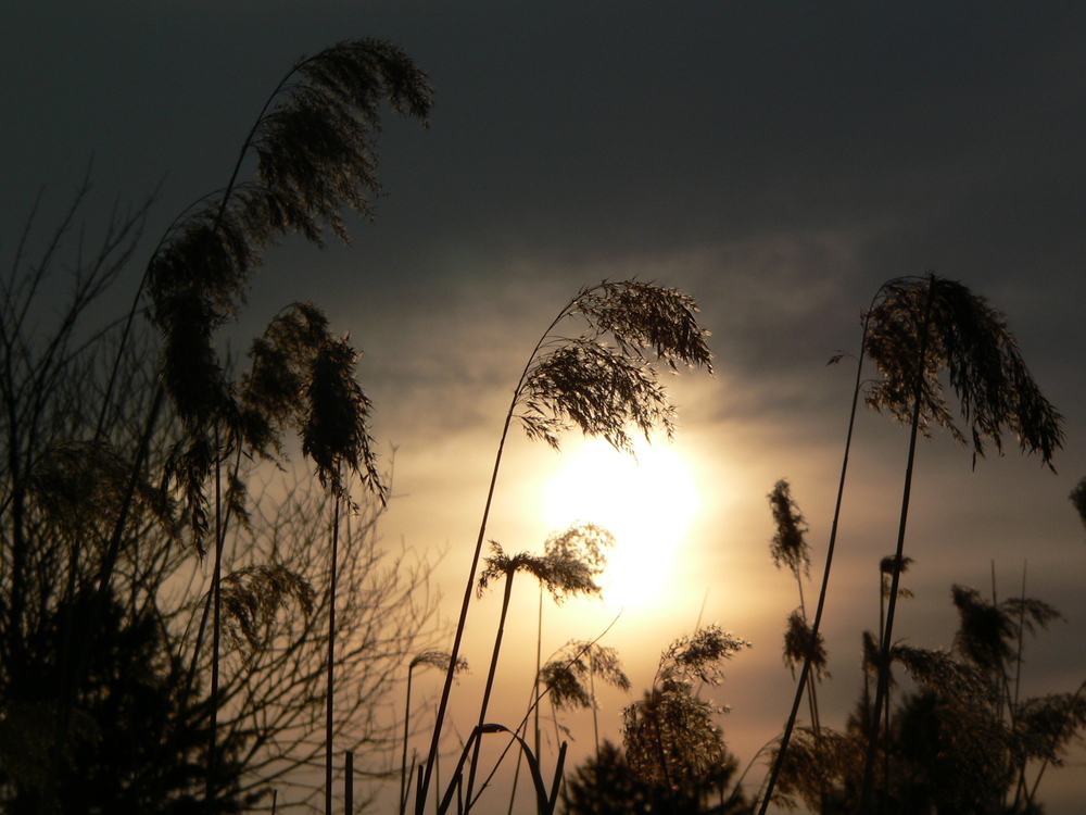 Abendstimmung