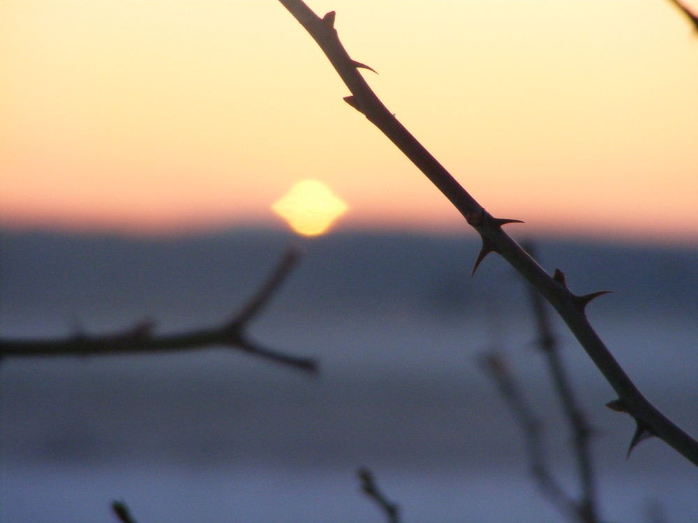Abendstimmung