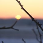 Abendstimmung