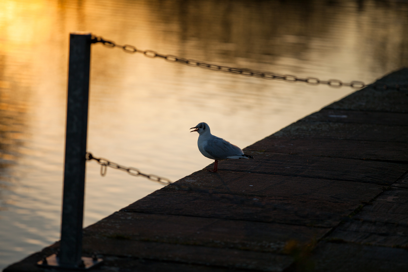 Abendstimmung