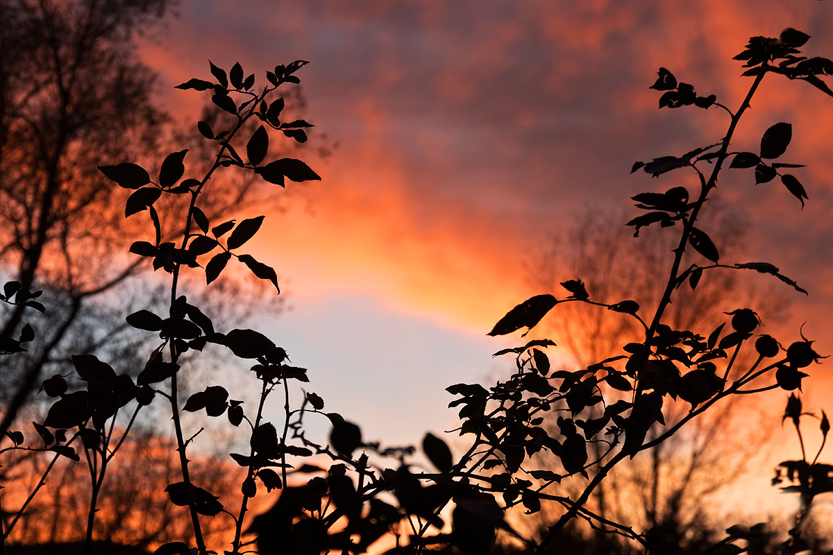 Abendstimmung