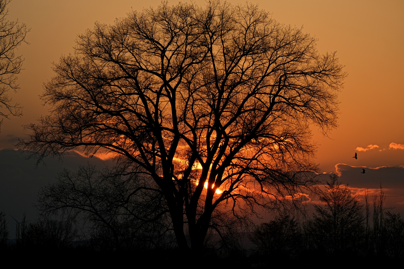 Abendstimmung